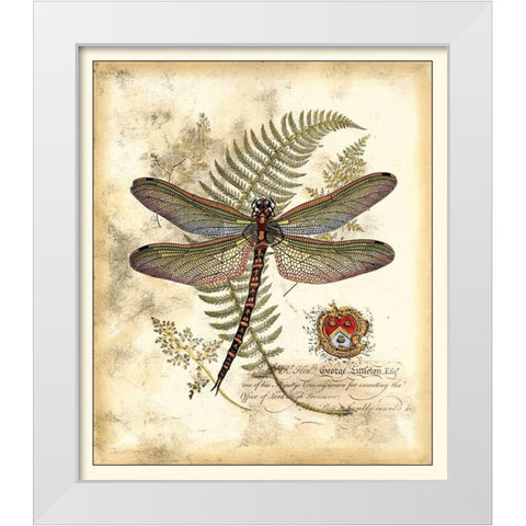 Regal Dragonfly I White Modern Wood Framed Art Print by Vision Studio