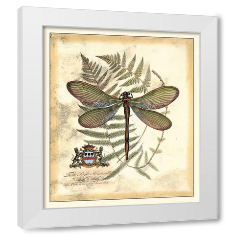 Regal Dragonfly II White Modern Wood Framed Art Print by Vision Studio