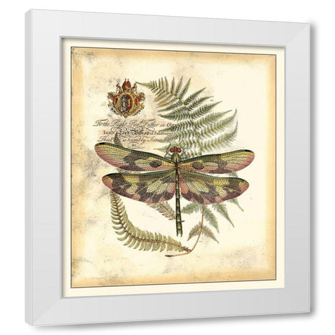 Regal Dragonfly IV White Modern Wood Framed Art Print by Vision Studio