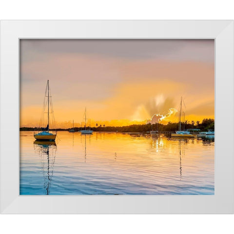 In the Golden Light IV White Modern Wood Framed Art Print by Kalina, Emily