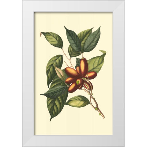 Flourishing Foliage II White Modern Wood Framed Art Print by Vision Studio