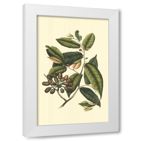 Flourishing Foliage III White Modern Wood Framed Art Print by Vision Studio