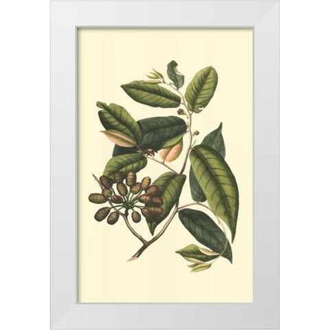 Flourishing Foliage III White Modern Wood Framed Art Print by Vision Studio