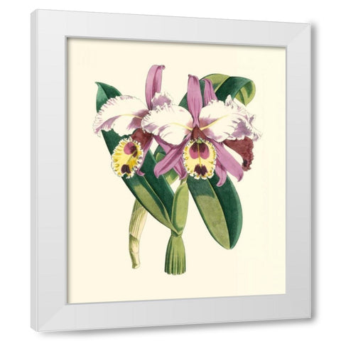 Magnificent Orchid I White Modern Wood Framed Art Print by Vision Studio