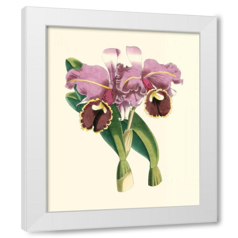 Magnificent Orchid II White Modern Wood Framed Art Print by Vision Studio