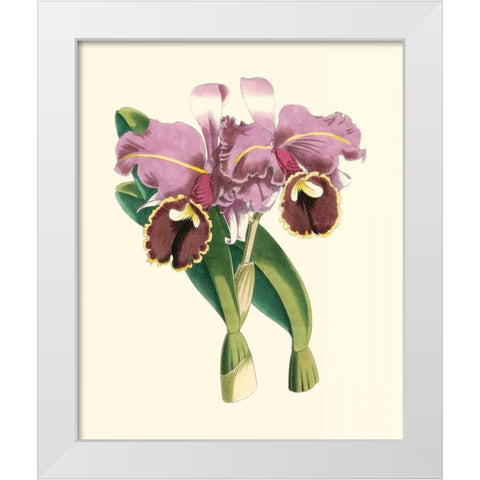 Magnificent Orchid II White Modern Wood Framed Art Print by Vision Studio