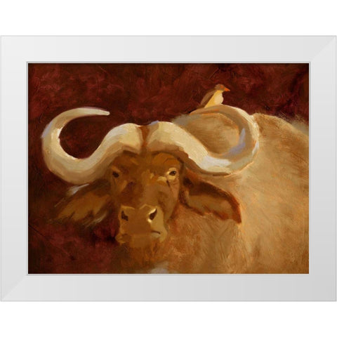 Cape Buffalo II White Modern Wood Framed Art Print by Green, Jacob