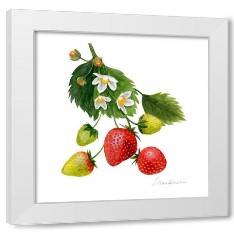 Strawberry Study I White Modern Wood Framed Art Print by Popp, Grace