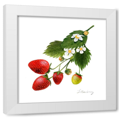 Strawberry Study II White Modern Wood Framed Art Print by Popp, Grace