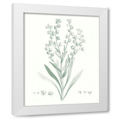 Botanical Study in Sage I White Modern Wood Framed Art Print by Vision Studio