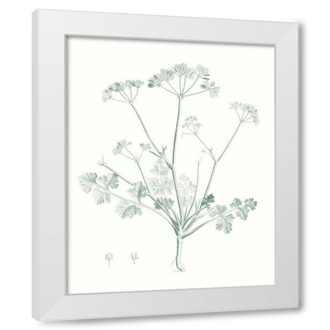 Botanical Study in Sage IV White Modern Wood Framed Art Print by Vision Studio