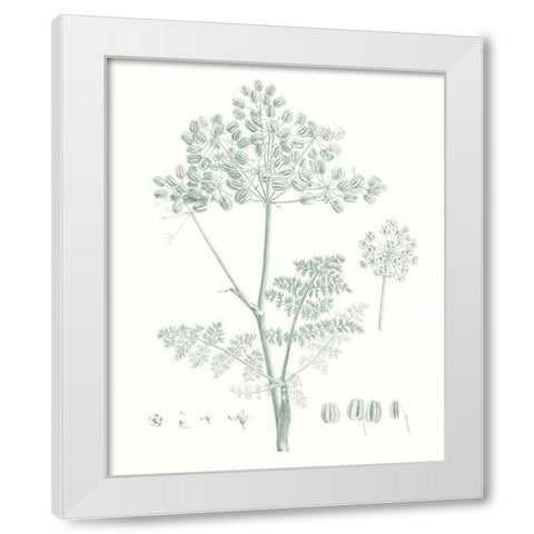 Botanical Study in Sage VI White Modern Wood Framed Art Print by Vision Studio