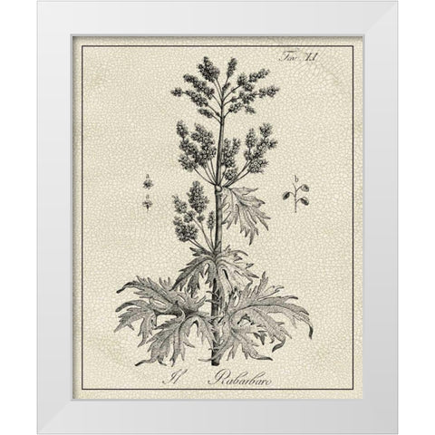 Antique Black and White Botanical III White Modern Wood Framed Art Print by Vision Studio