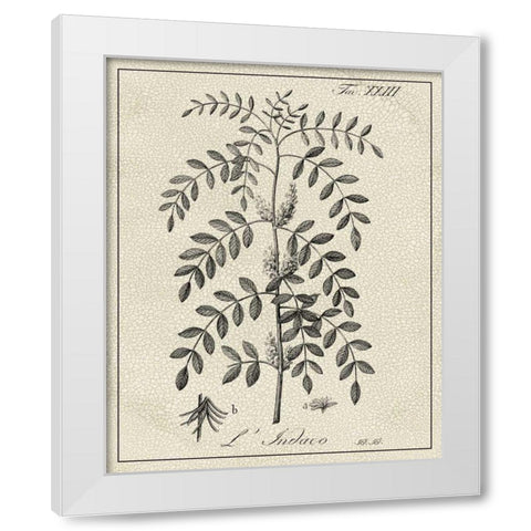 Antique Black and White Botanical IX White Modern Wood Framed Art Print by Vision Studio