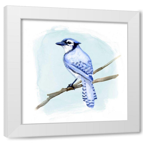 Coastal Blue Jay II White Modern Wood Framed Art Print by Green, Jacob