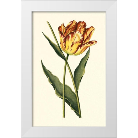 Vintage Tulips I White Modern Wood Framed Art Print by Vision Studio