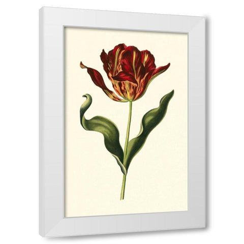 Vintage Tulips II White Modern Wood Framed Art Print by Vision Studio