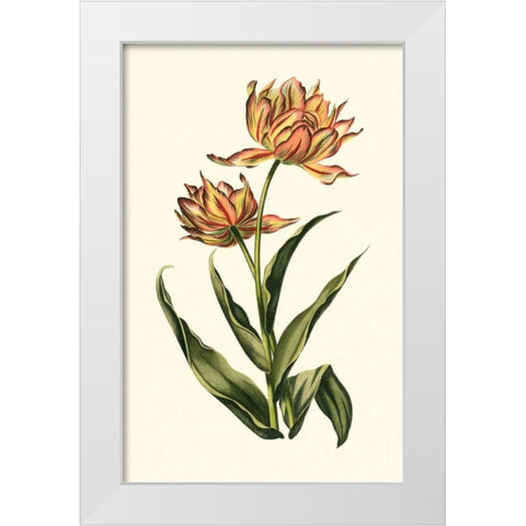 Vintage Tulips III White Modern Wood Framed Art Print by Vision Studio