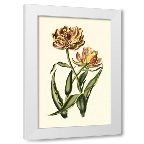 Vintage Tulips IV White Modern Wood Framed Art Print by Vision Studio