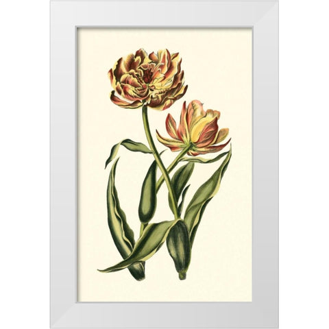 Vintage Tulips IV White Modern Wood Framed Art Print by Vision Studio