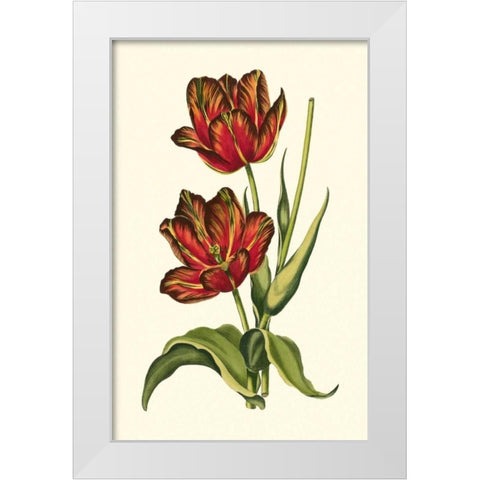 Vintage Tulips V White Modern Wood Framed Art Print by Vision Studio