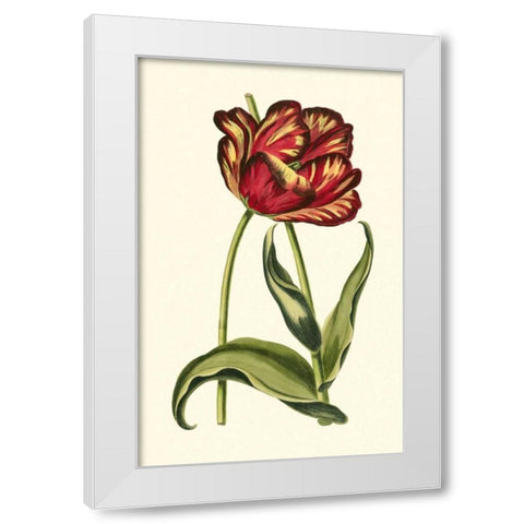 Vintage Tulips VI White Modern Wood Framed Art Print by Vision Studio