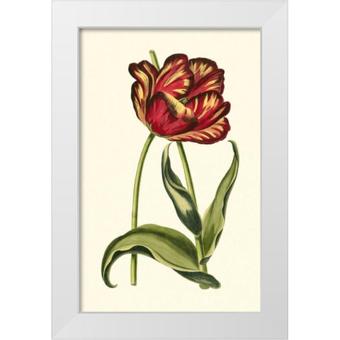 Vintage Tulips VI White Modern Wood Framed Art Print by Vision Studio