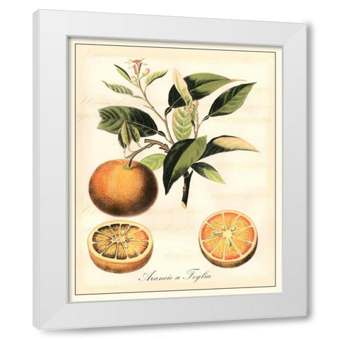 Tuscan Fruits III White Modern Wood Framed Art Print by Vision Studio