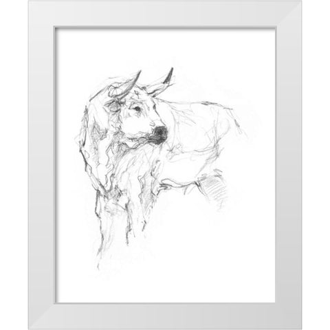 Bull Study II White Modern Wood Framed Art Print by Harper, Ethan