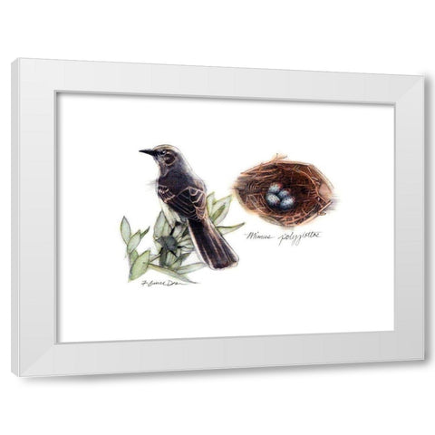 Bird and Nest Study I White Modern Wood Framed Art Print by Dean, Bruce