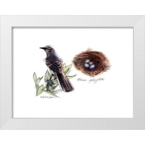 Bird and Nest Study I White Modern Wood Framed Art Print by Dean, Bruce