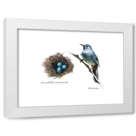 Bird and Nest Study II White Modern Wood Framed Art Print by Dean, Bruce