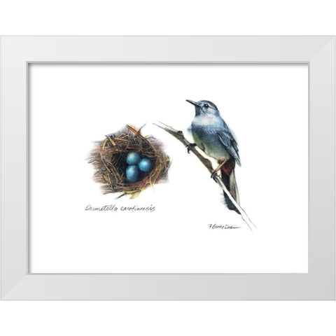 Bird and Nest Study II White Modern Wood Framed Art Print by Dean, Bruce
