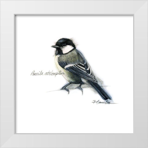 Songbird Study II White Modern Wood Framed Art Print by Dean, Bruce