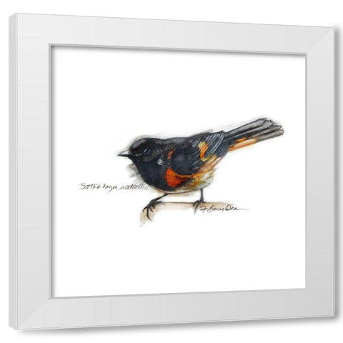 Songbird Study IV White Modern Wood Framed Art Print by Dean, Bruce
