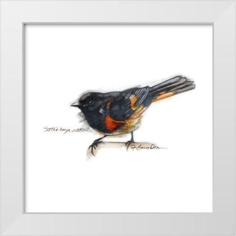 Songbird Study IV White Modern Wood Framed Art Print by Dean, Bruce
