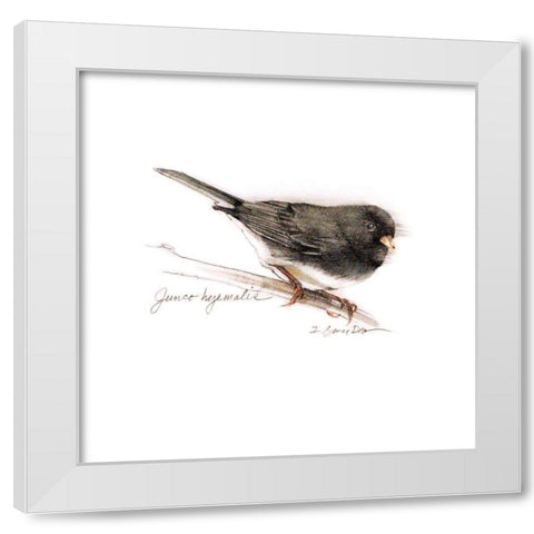 Songbird Study V White Modern Wood Framed Art Print by Dean, Bruce