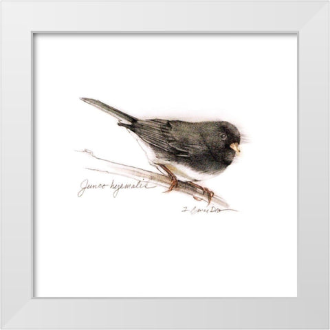 Songbird Study V White Modern Wood Framed Art Print by Dean, Bruce
