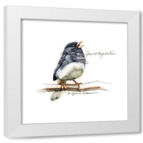 Songbird Study VI White Modern Wood Framed Art Print by Dean, Bruce