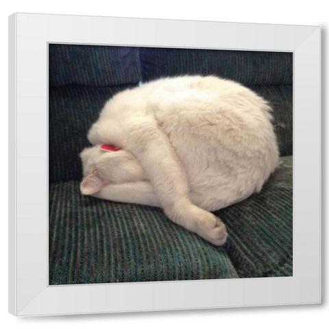 Cat Yoga I White Modern Wood Framed Art Print by Nob, R.