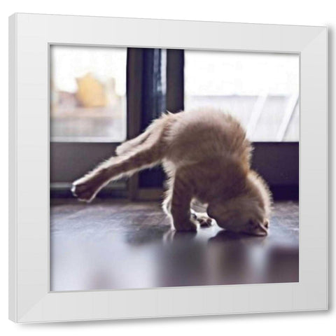 Cat Yoga X White Modern Wood Framed Art Print by Nob, R.