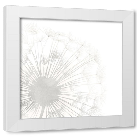 Dandelion Whisper I White Modern Wood Framed Art Print by Popp, Grace