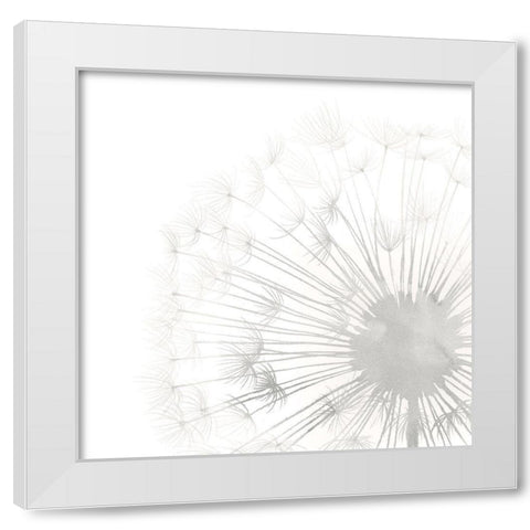 Dandelion Whisper II White Modern Wood Framed Art Print by Popp, Grace