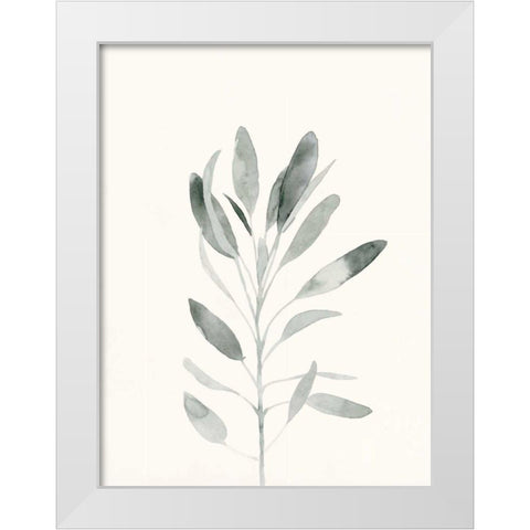 Delicate Sage Botanical II White Modern Wood Framed Art Print by Caroline, Emma