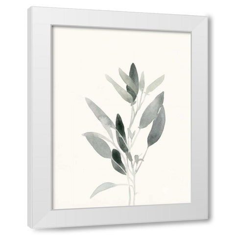 Delicate Sage Botanical IV White Modern Wood Framed Art Print by Caroline, Emma