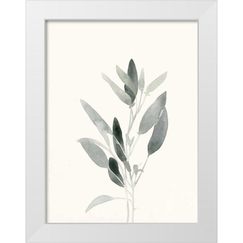 Delicate Sage Botanical IV White Modern Wood Framed Art Print by Caroline, Emma