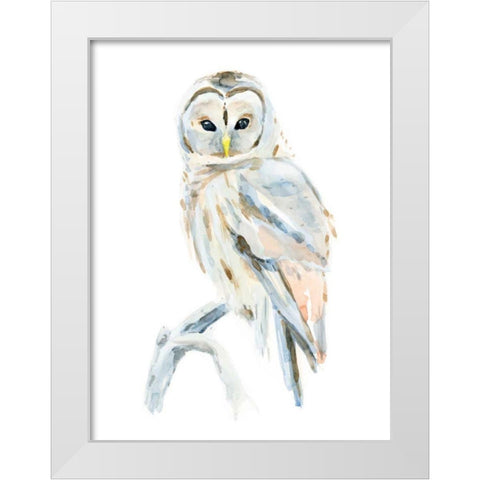 Arctic Owl II White Modern Wood Framed Art Print by Warren, Annie