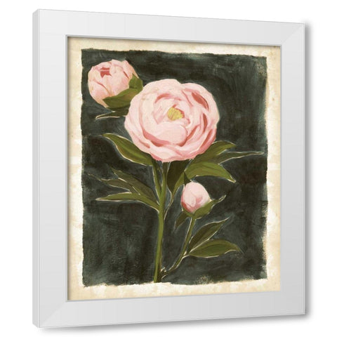 Vintage Peonies I White Modern Wood Framed Art Print by Popp, Grace