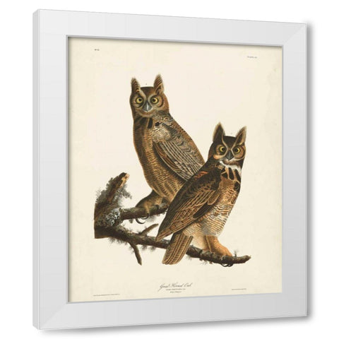 Pl 61 Great Horned Owl White Modern Wood Framed Art Print by Audubon, John James