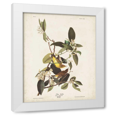 Pl 163 Pine Warbler White Modern Wood Framed Art Print by Audubon, John James